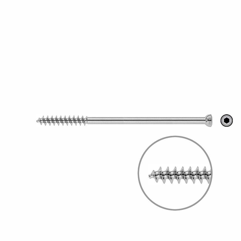 Spongiosa screw 6,5 32mm thr. 110mm 