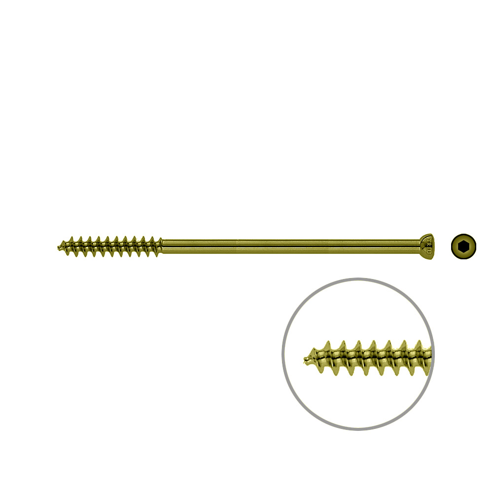 Spongiosa screw 6,5 32mm thr. 115mm TITAN 