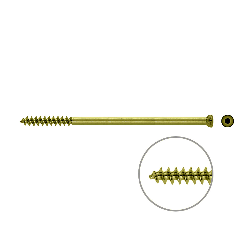 Spongiosa screw 6,5 32mm thr. 120mm TITAN 