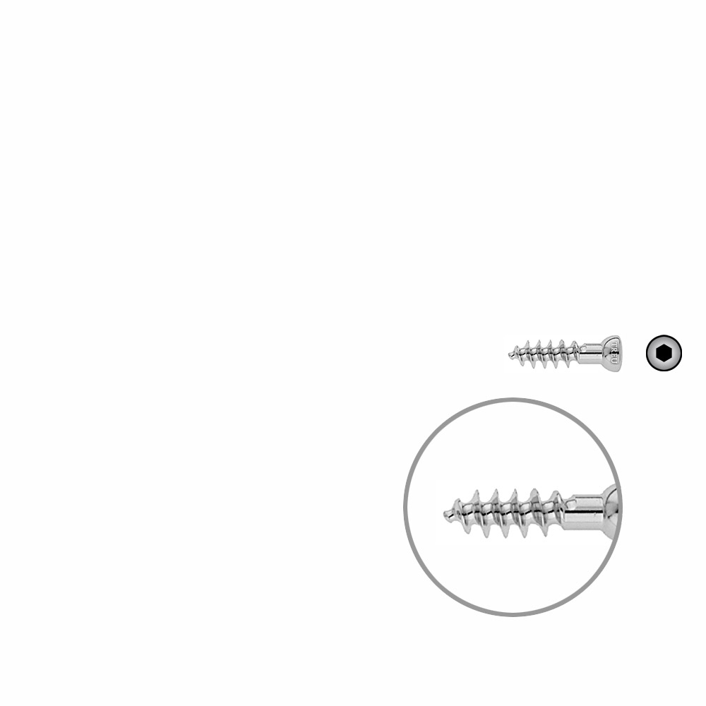 Spongiosa screw 6.5x 25mm full thr. 