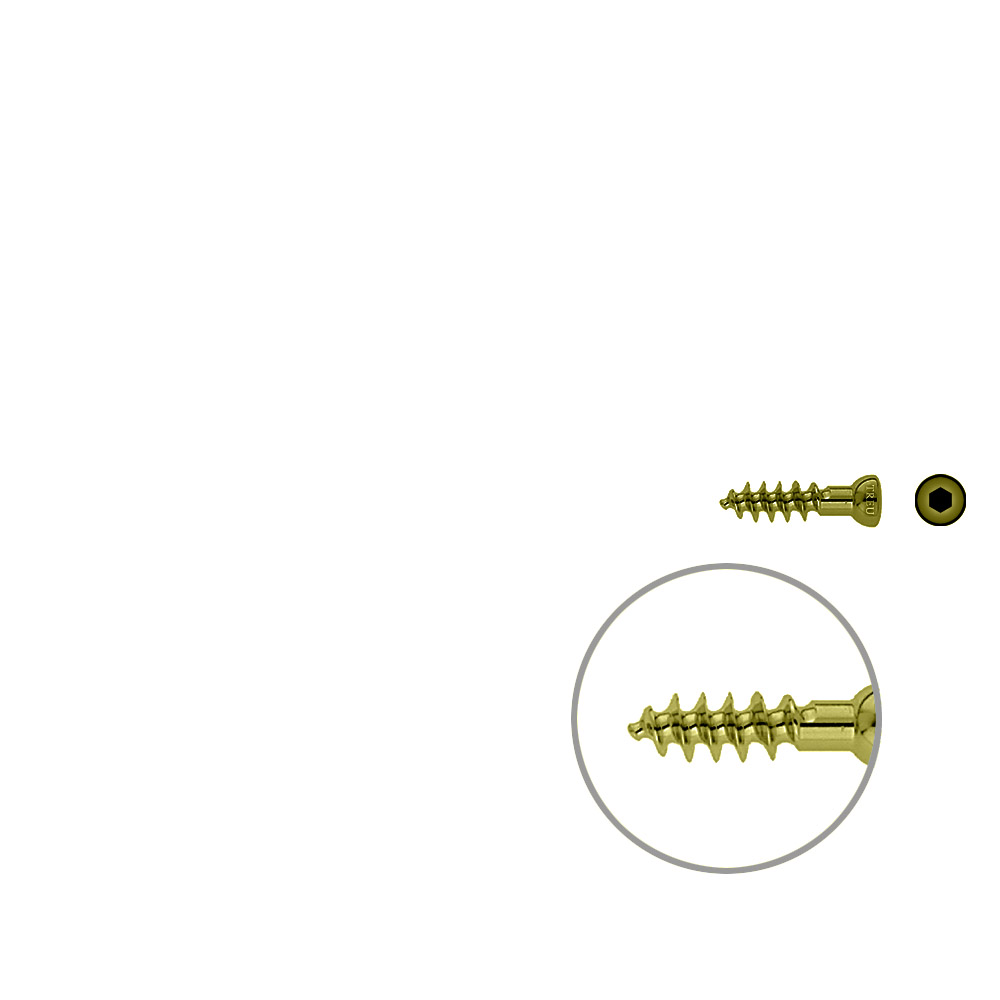 Spongiosa screw 6.5x 25mm full thr. TITAN 