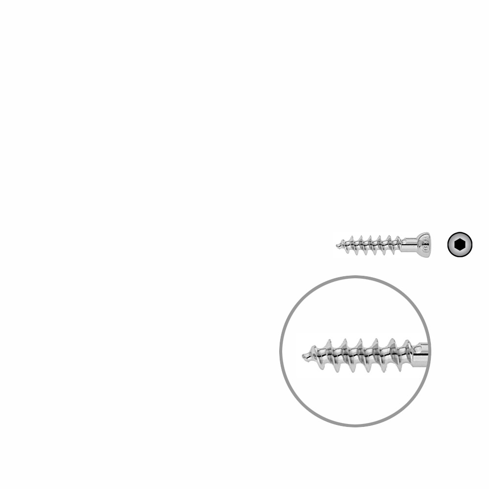 Spongiosa screw 6.5x 30mm full thr. 