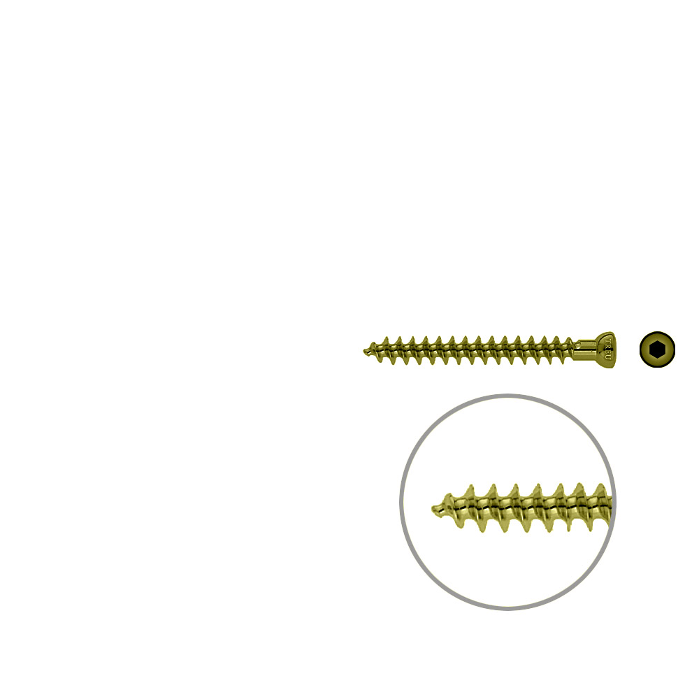 Spongiosa screw 6.5x 55mm full thr. TITAN 