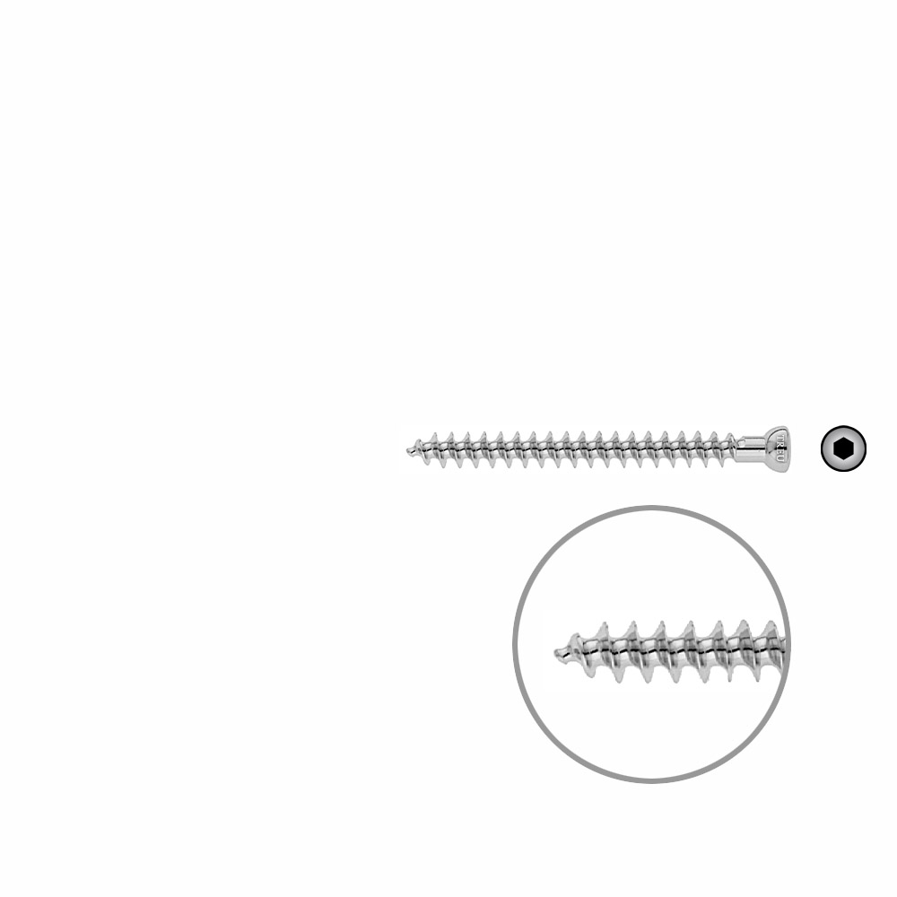 Spongiosa screw 6.5x 65mm full thr. 