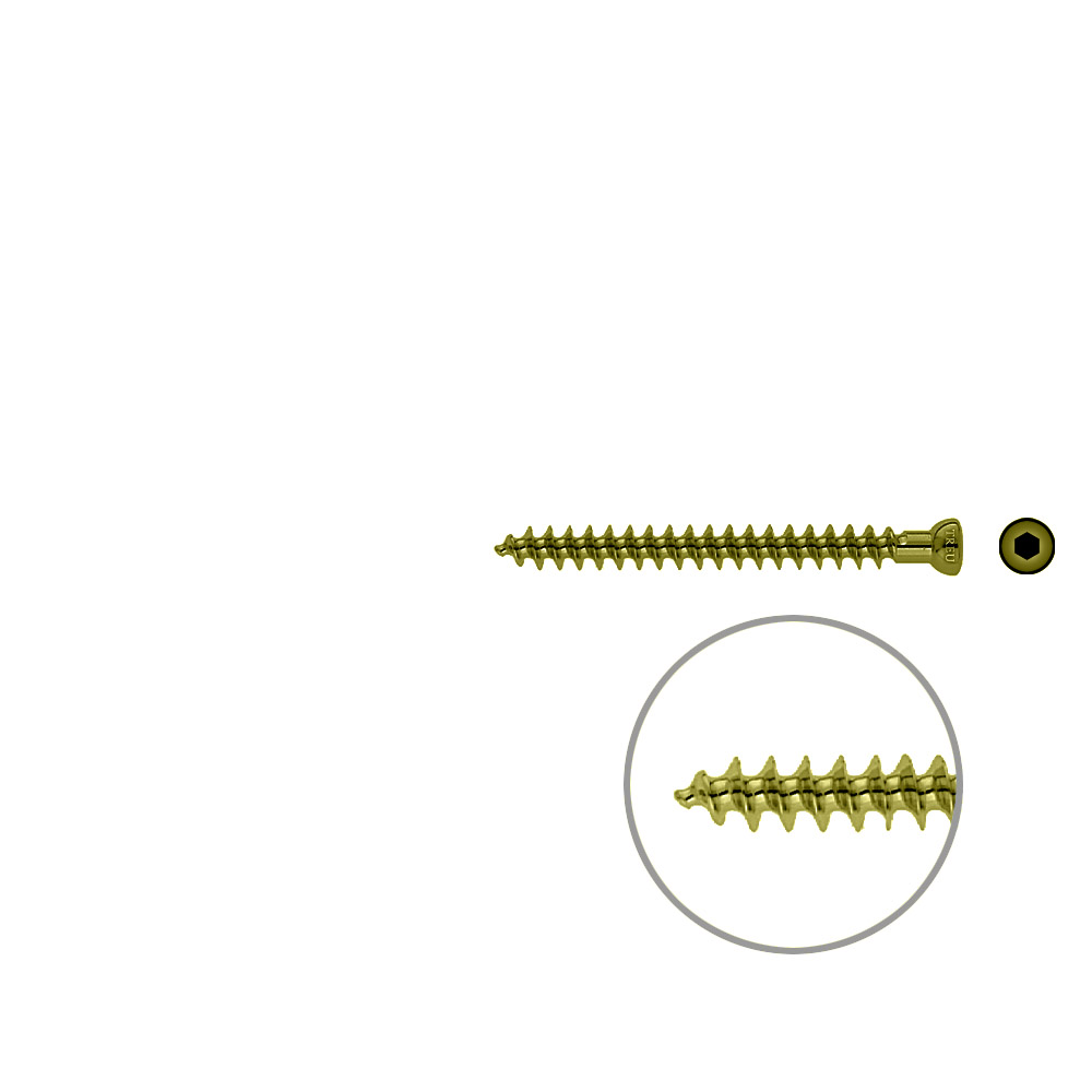 Spongiosa screw 6.5x 65mm full thr. TITAN 