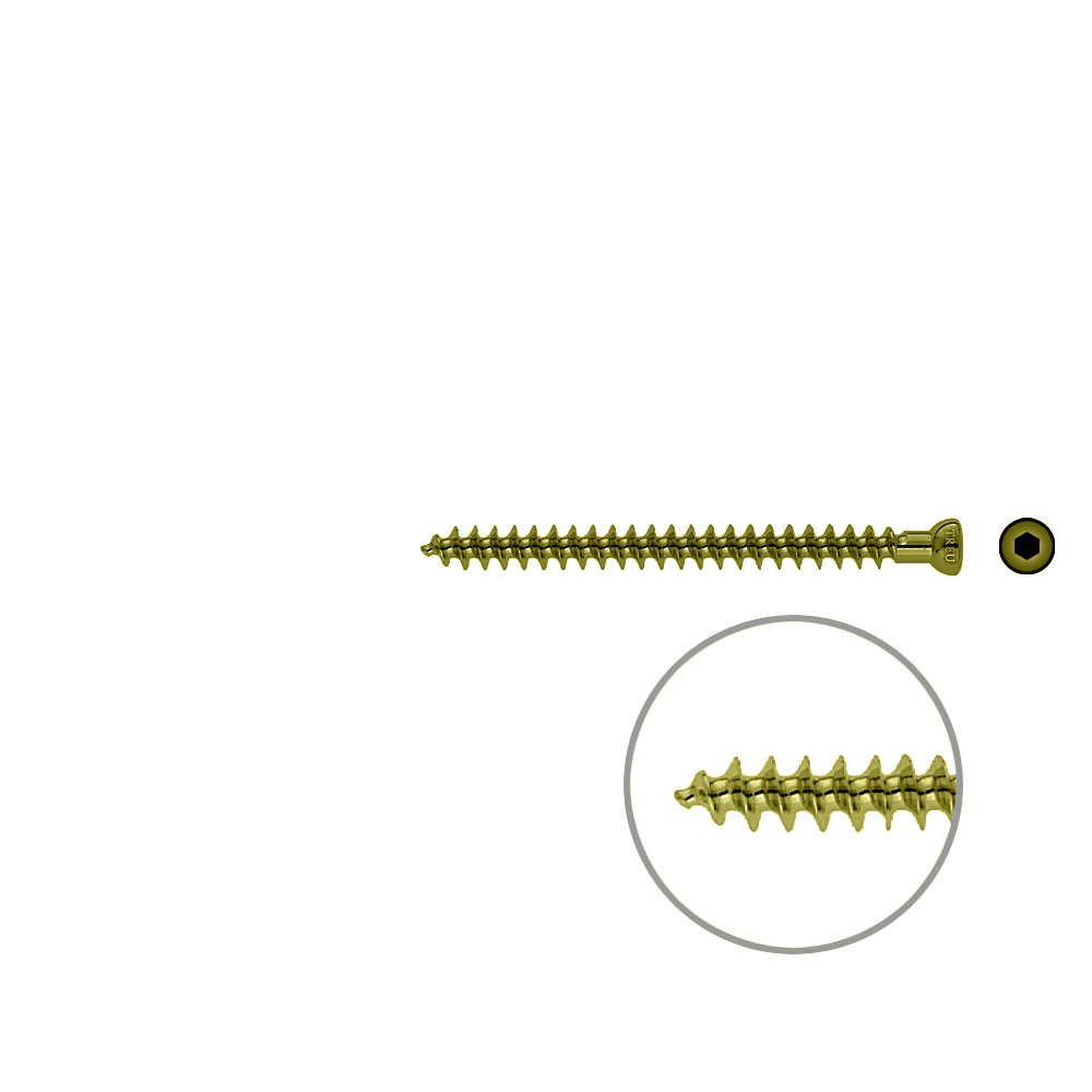 Spongiosa screw 6.5x 75mm full thr. TITAN 