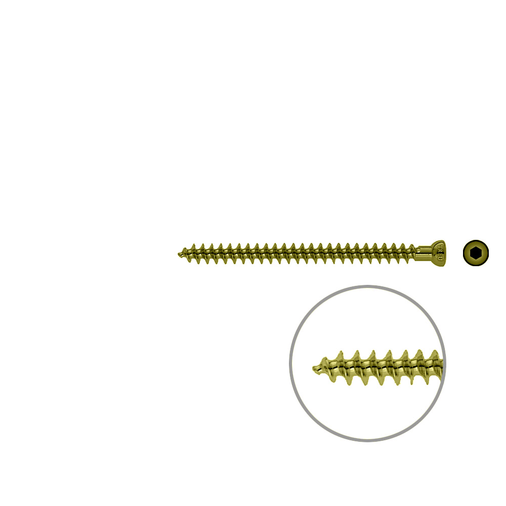 Spongiosa screw 6.5x 80mm full thr. TITAN 