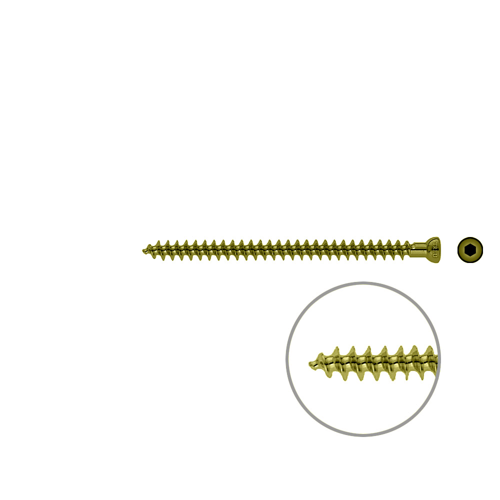 Spongiosa screw 6.5x 90mm full thr. TITAN 