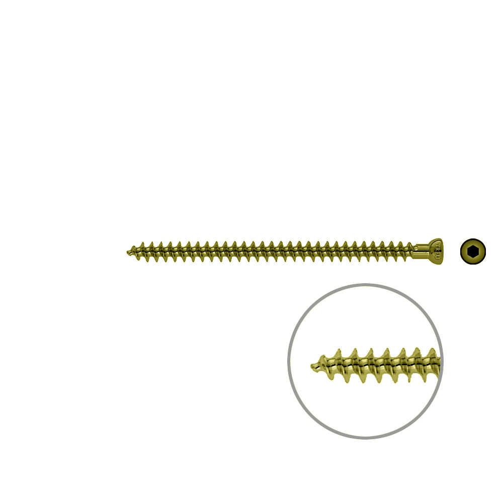 Spongiosa screw 6.5x 95mm full thr. TITAN 