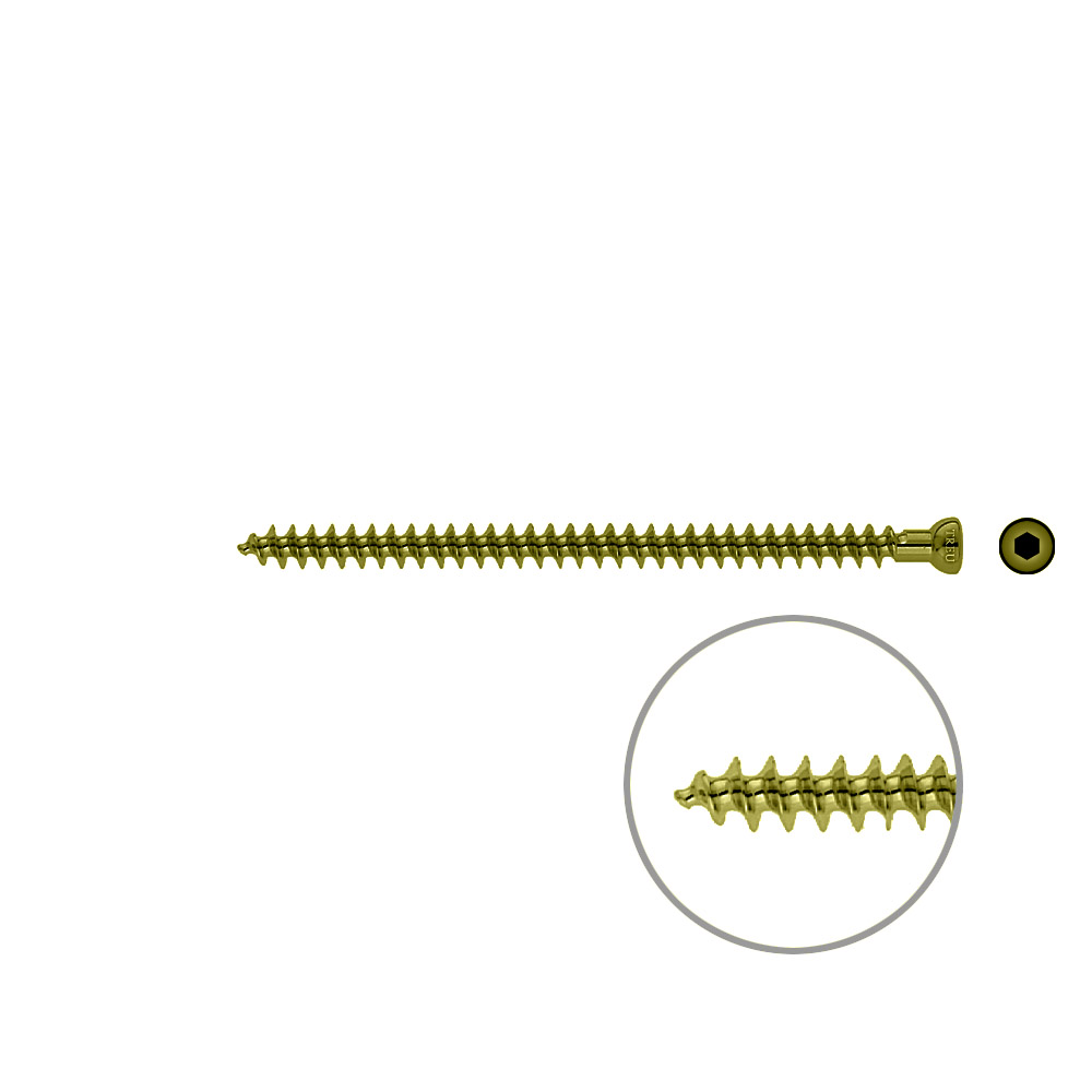 Spongiosa screw 6.5x 100mm full thr TITAN 