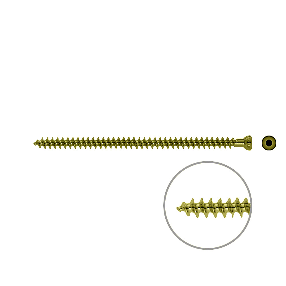 Spongiosa screw 6,5x 115mm full thr TITAN 