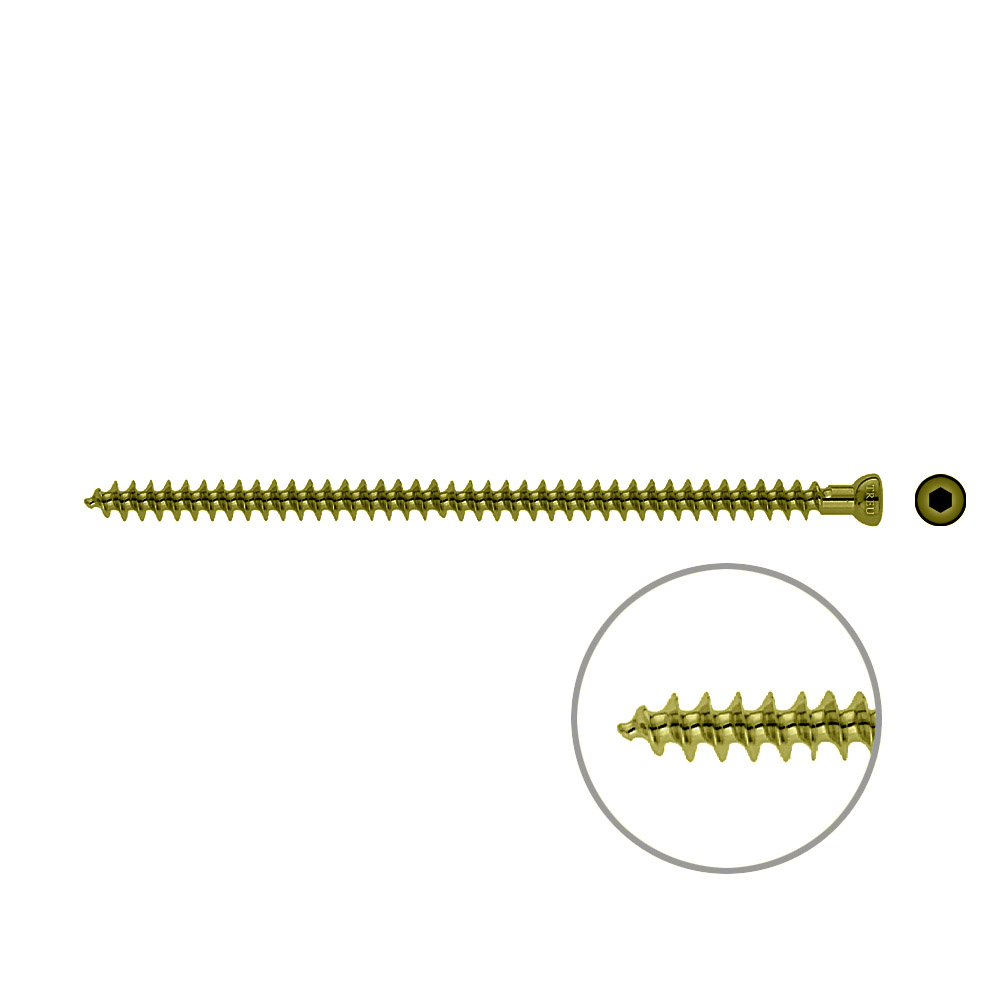 Spongiosa screw 6,5x 120mm full thr TITAN 