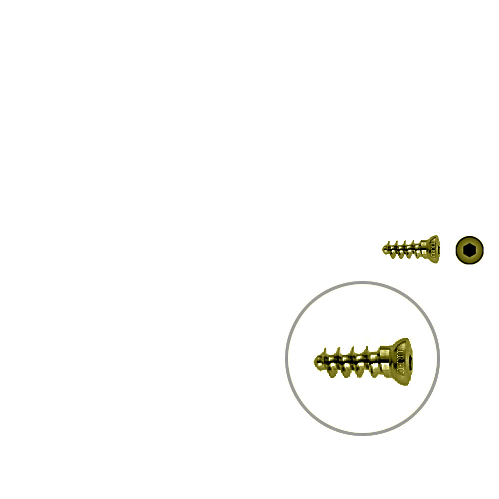 Cancellous Screw 3.5 x 12mm TITAN 