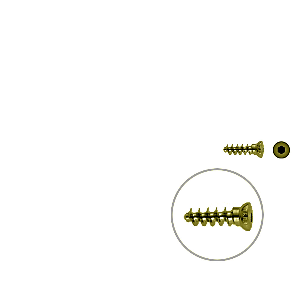 Cancellous Screw 3.5 x 14mm TITAN 