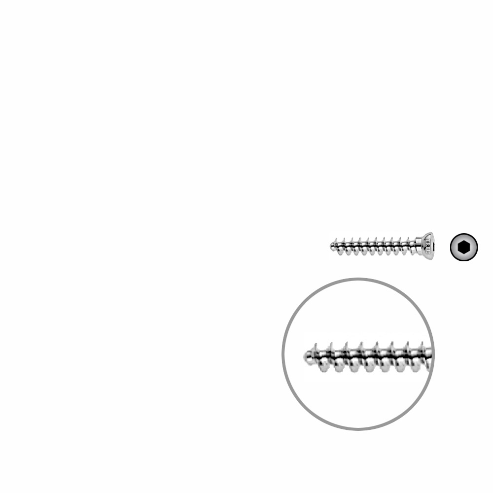 Spongiosaschraube 3,5 x 22mm 