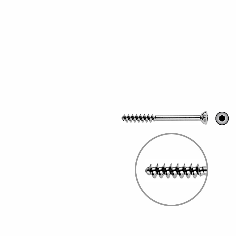 Cancellous Screw 4mm half thr. 38mm 