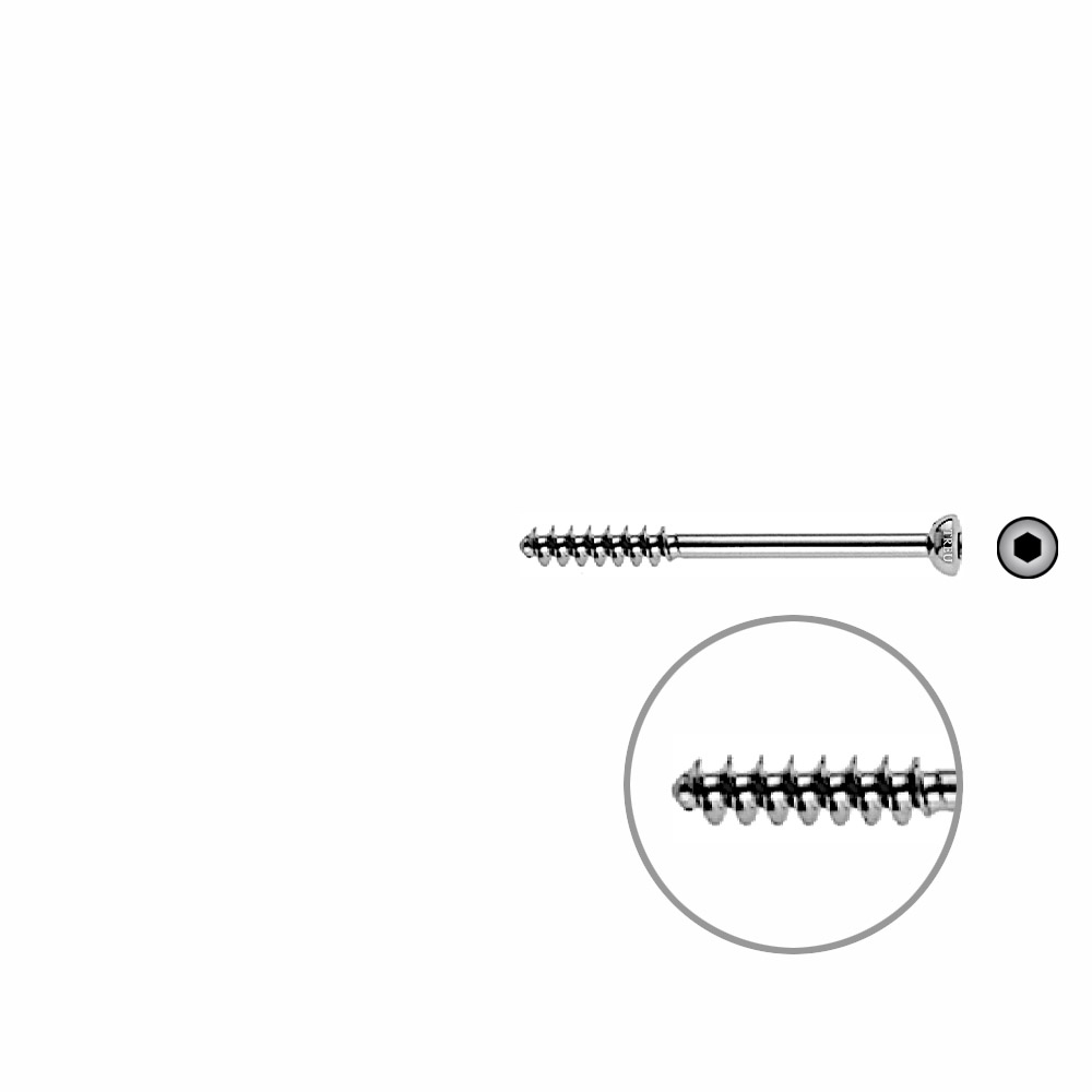 Cancellous Screw 4mm half thr. 42mm 