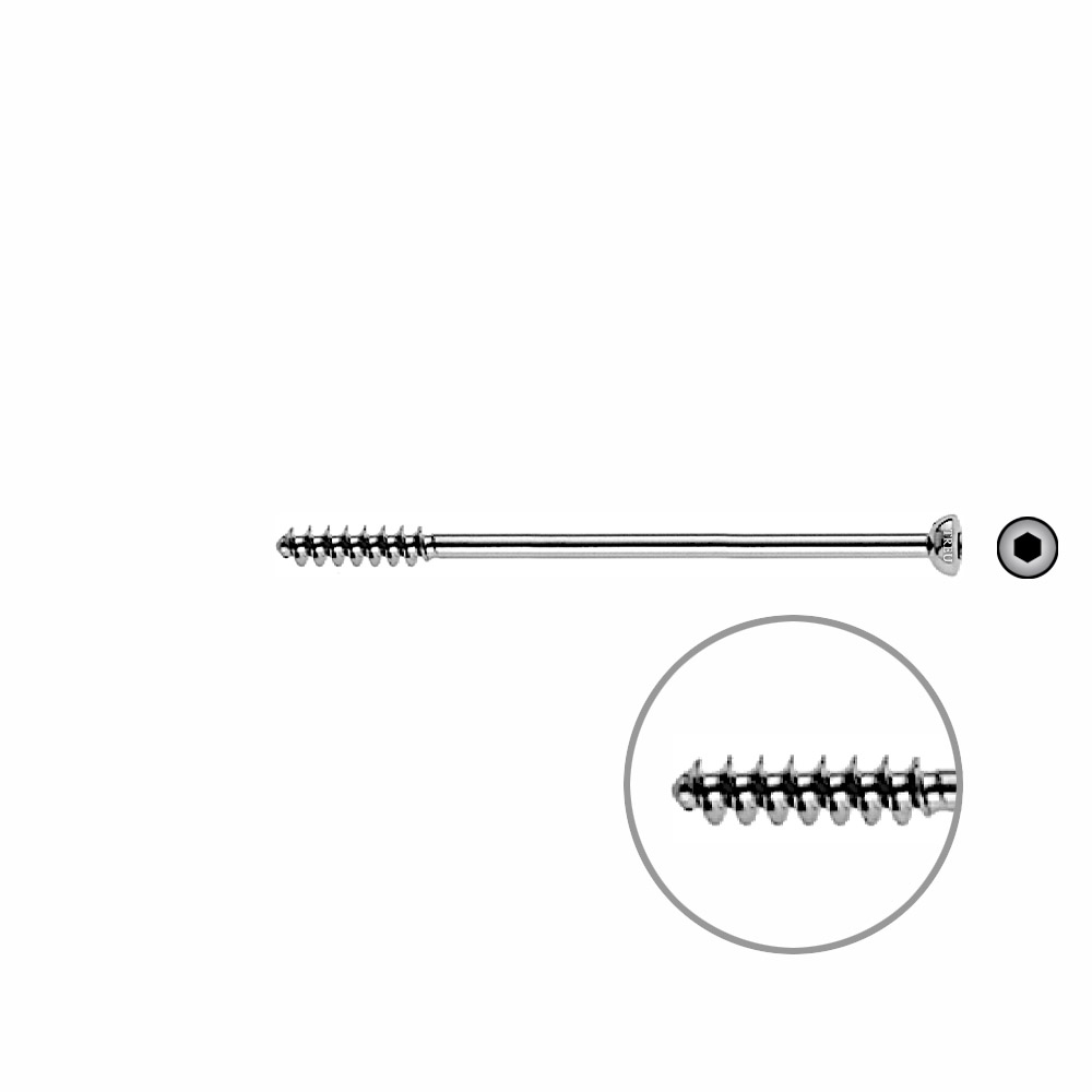 Cancellous Screw 4mm half thr. 65mm 