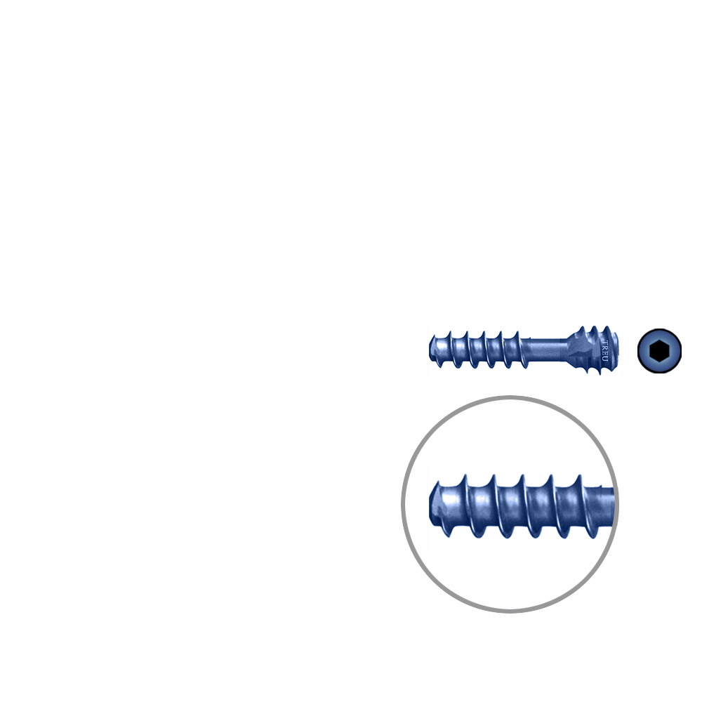 HB-screw dia 3,0 16 mm, TITAN 