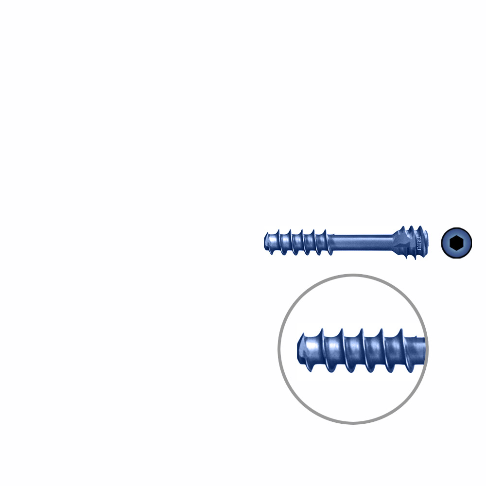 HB-screw dia 3,0 20 mm, TITAN 