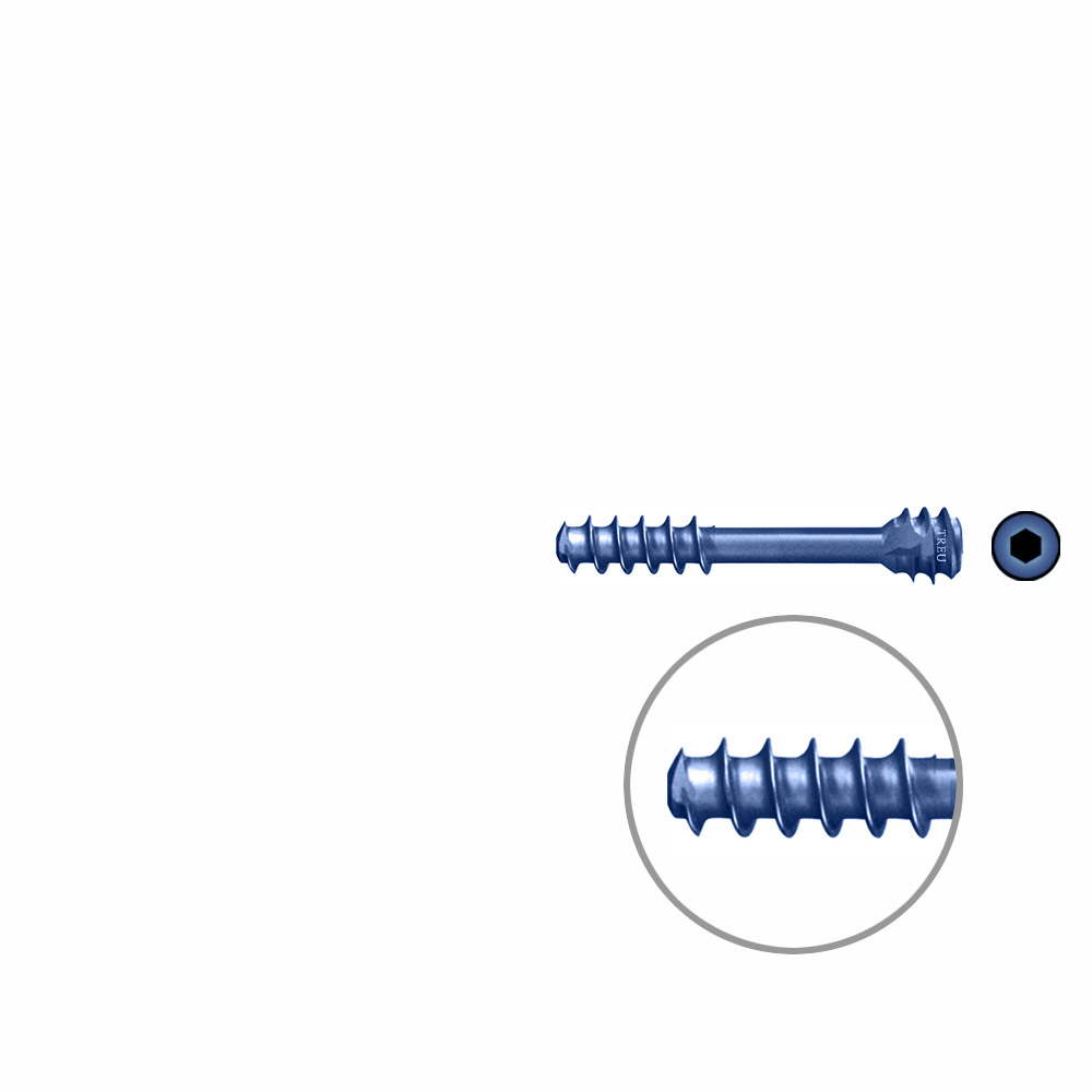 HB-screw dia 3,0 22 mm, TITAN 