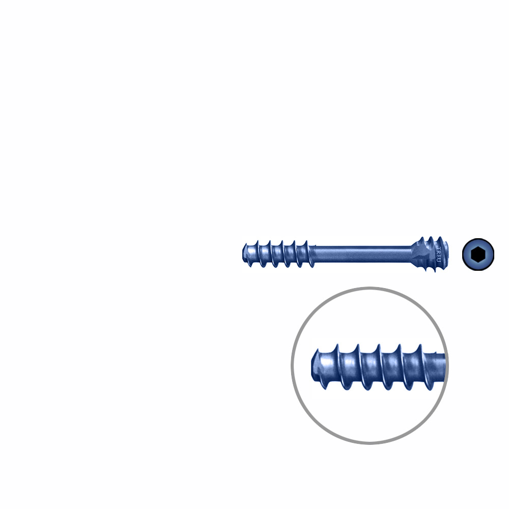 HB-screw dia 3,0 24 mm, TITAN 