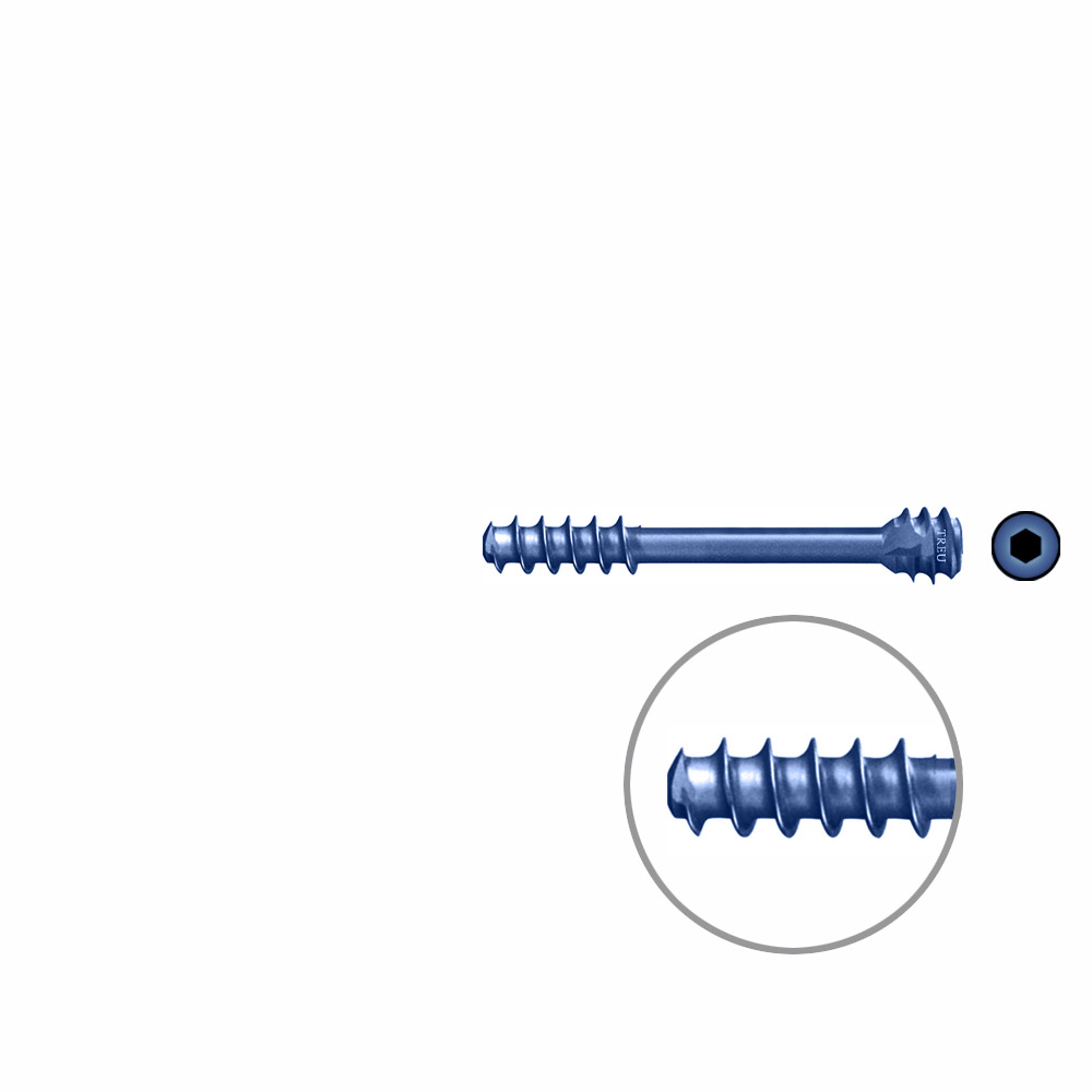 HB Hollow Screw ø 3,0 x 26 mm TITANIUM 