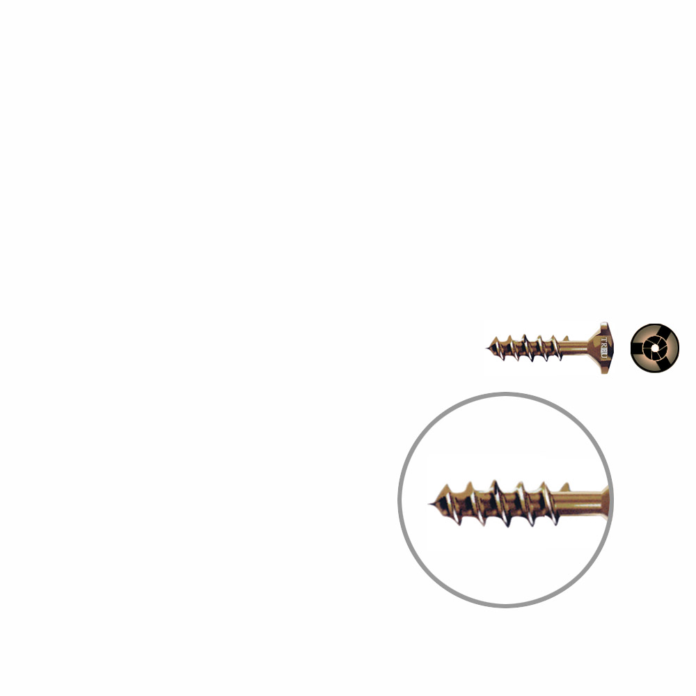 Snap off screw ø 2mm Length 11mm TITANIUM 