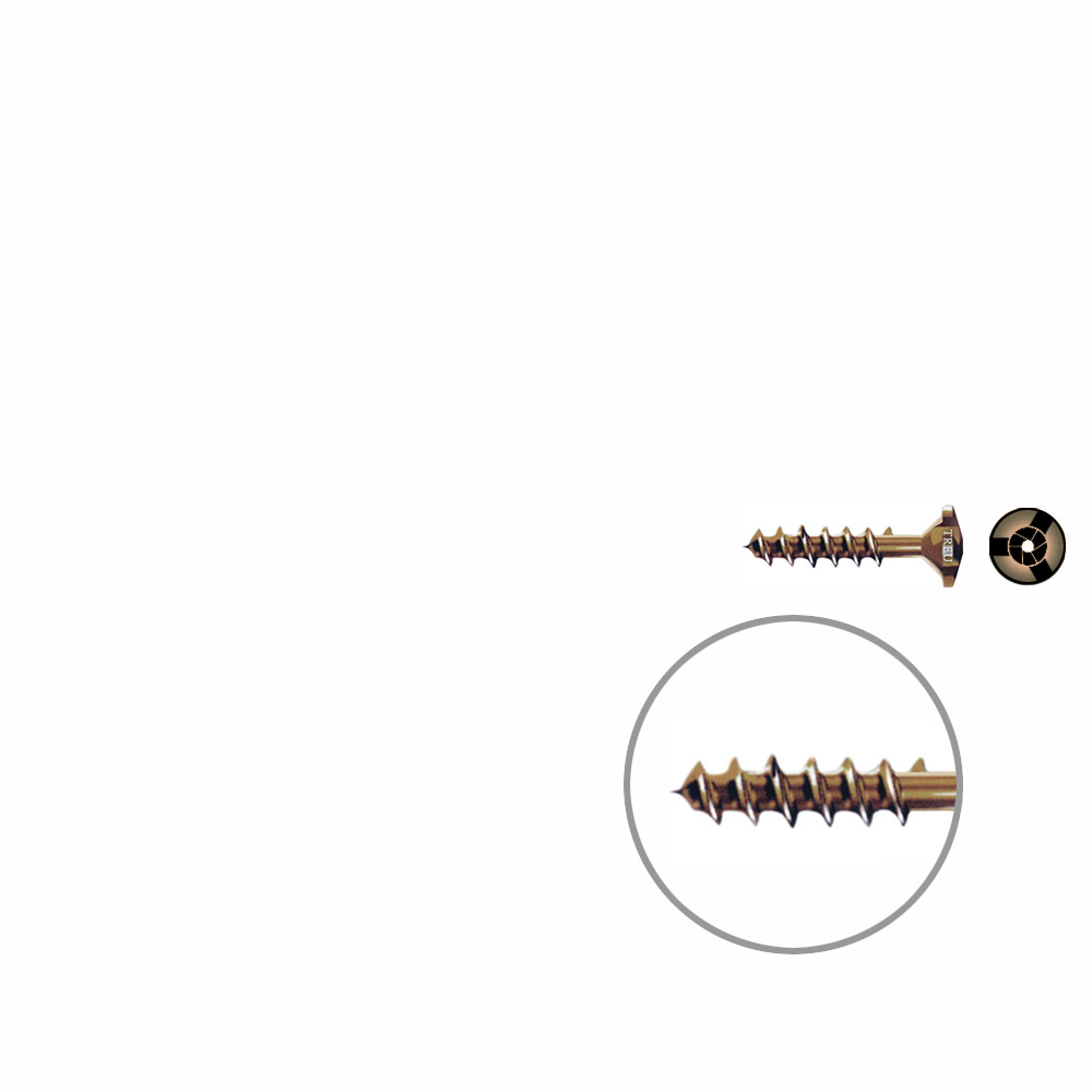 Snap off screw ø 2mm Length 12mm TITANIUM 