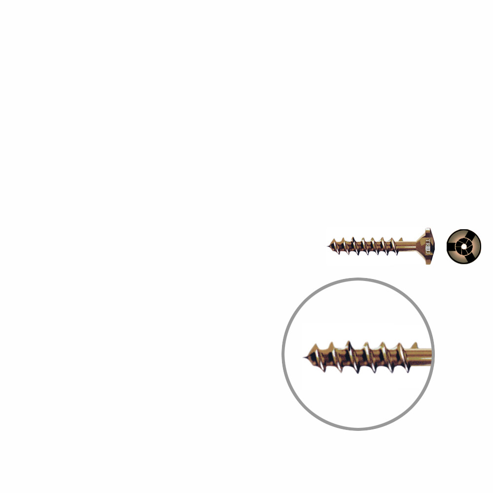 Snap off screw ø 2mm Length 13mm TITANIUM 