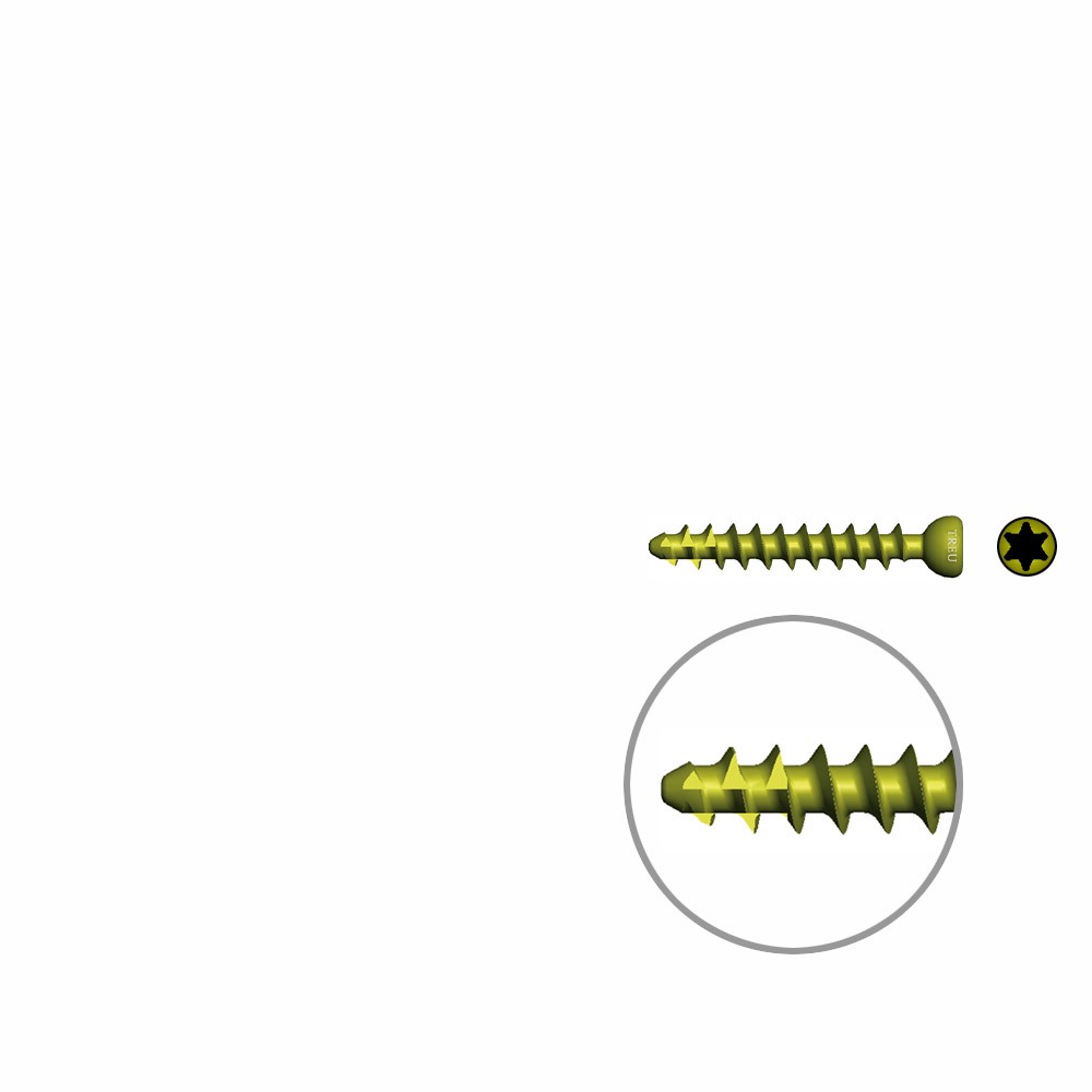 Cancellous Screws self- tapping Ø 3,0mm, 20mm TI 