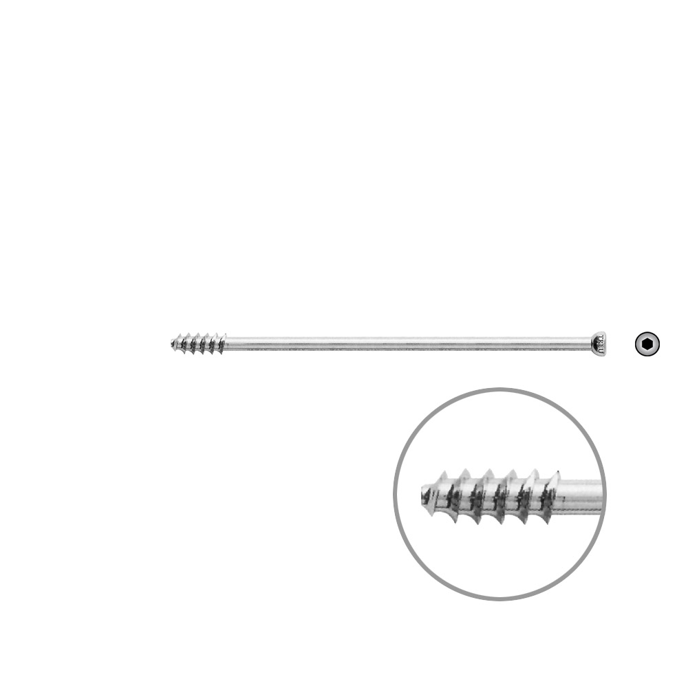 Hohlschraube 7mm Dia x 95mm 16 G 