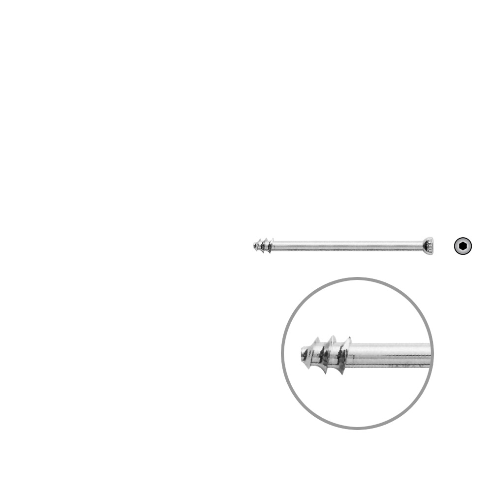 Hollow Screws 7 mm x 55 mm thread 8 mm 