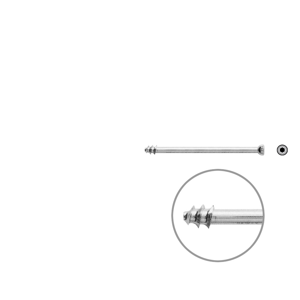 Hohlschraube 7mm Dia x 60mm 8 mm Gew. 