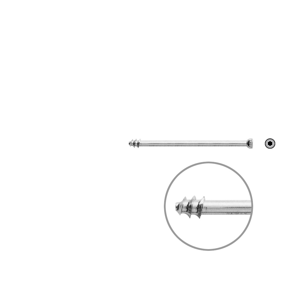 Hollow Screws 7 mm x 65 mm thread 8 mm 