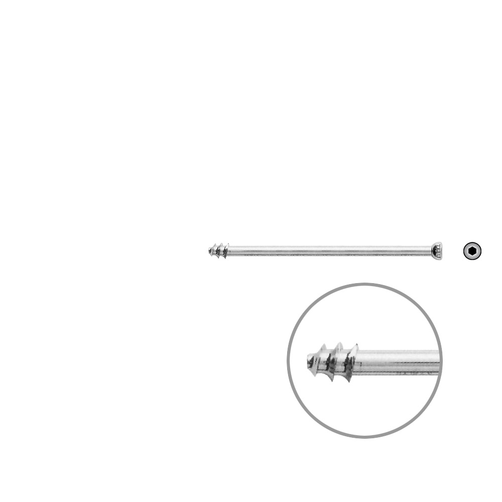 Hohlschraube 7mm Dia x 70mm 8 mm Gew. 