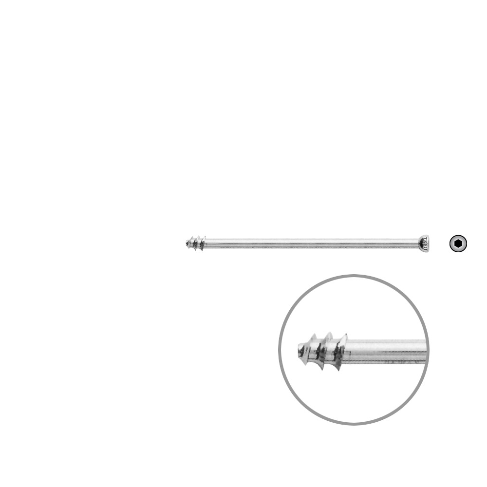 Hollow Screws 7 mm x 75 mm thread 8 mm 