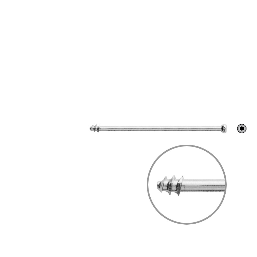 Hohlschraube 7mm Dia x 80mm 8 mm Gew. 