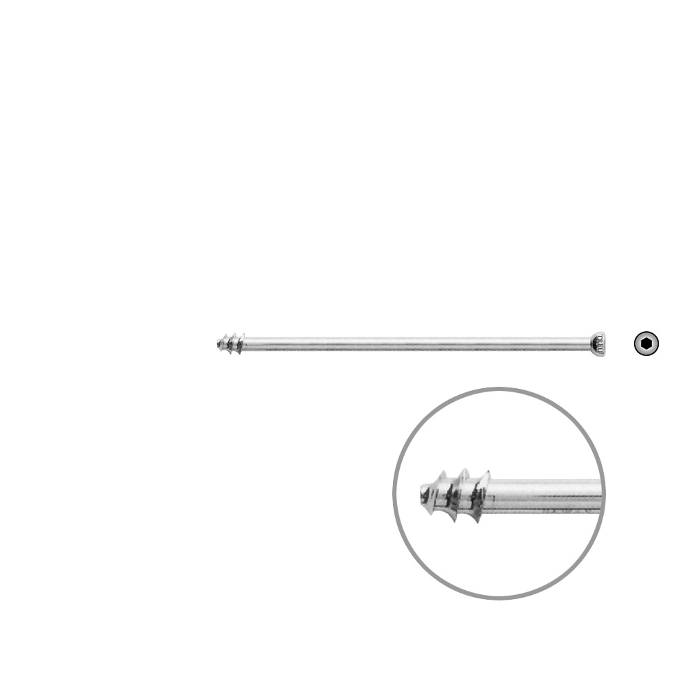 Hollow Screws 7 mm x 85 mm thread 8 mm 