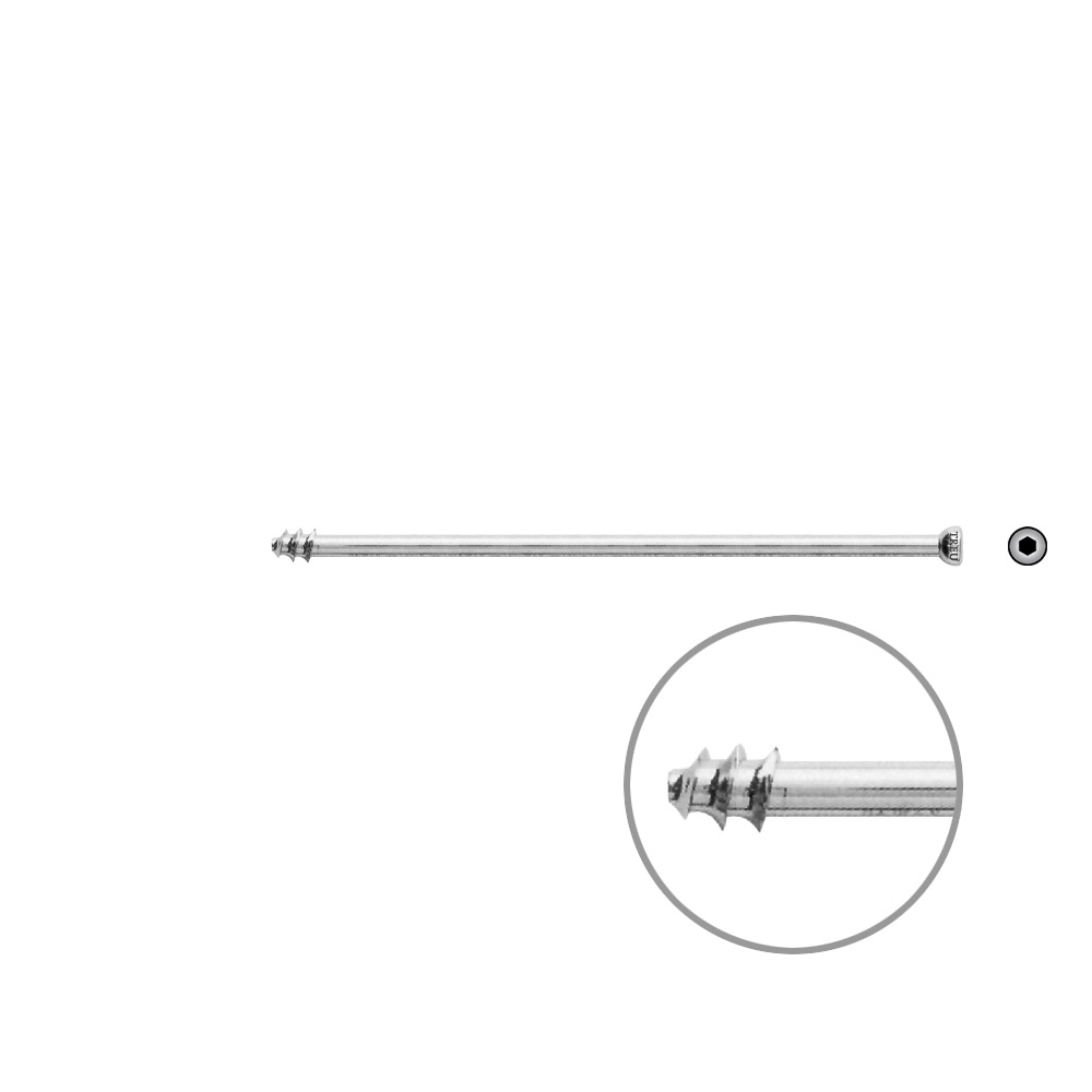 Hollow Screws 7 mm x 95 mm thread 8 mm 