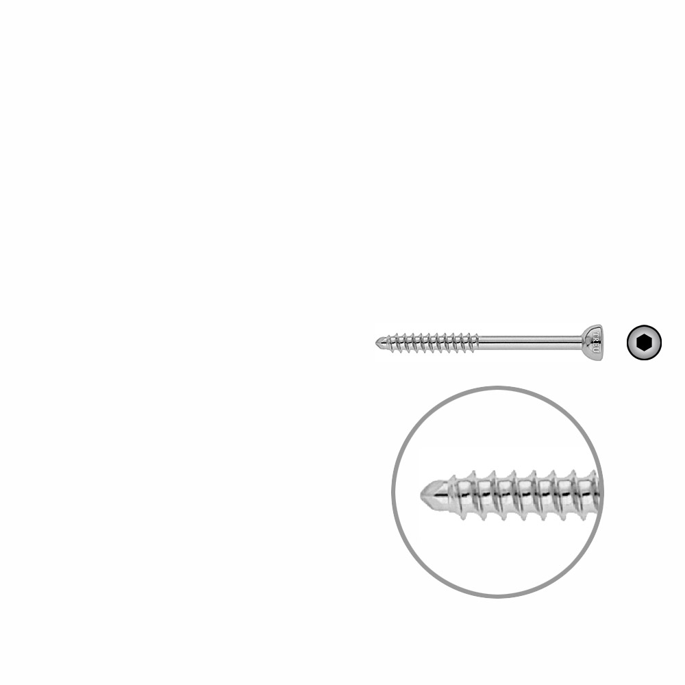 Malleolar Hohlschr.4,5mm Dia x 50mm 