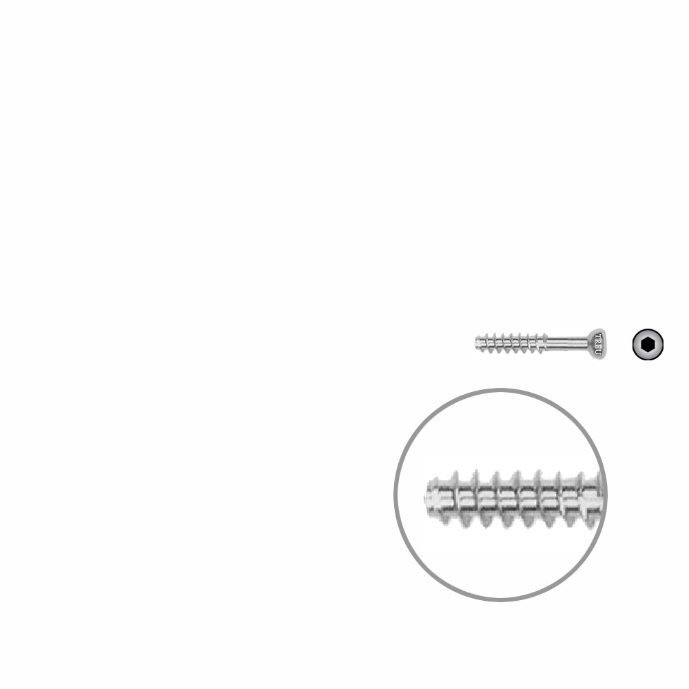 Hollow Screw 4,5 x 20mm half thread SELF TAPPING 