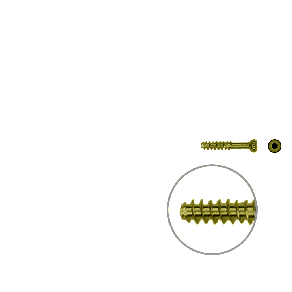 Hohlschraube 4,5 x 20mm HG Selbstschneidend, TITAN 