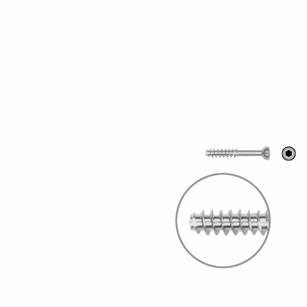 Hohlschraube 4,5 x 22mm HG SELBSTSCHNEIDEND 