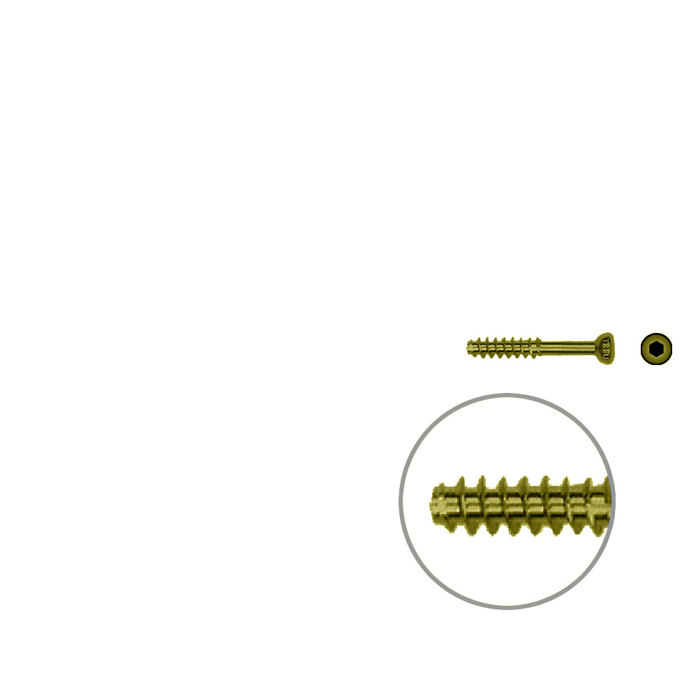 Hohlschraube 4,5 x 22mm HG Selbstschneidend, TITAN 