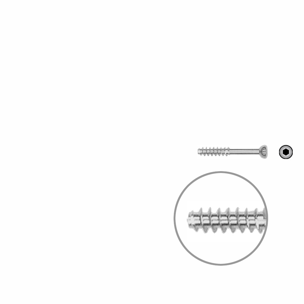 Hohlschraube 4,5 x 24mm HG SELBSTSCHNEIDEND 