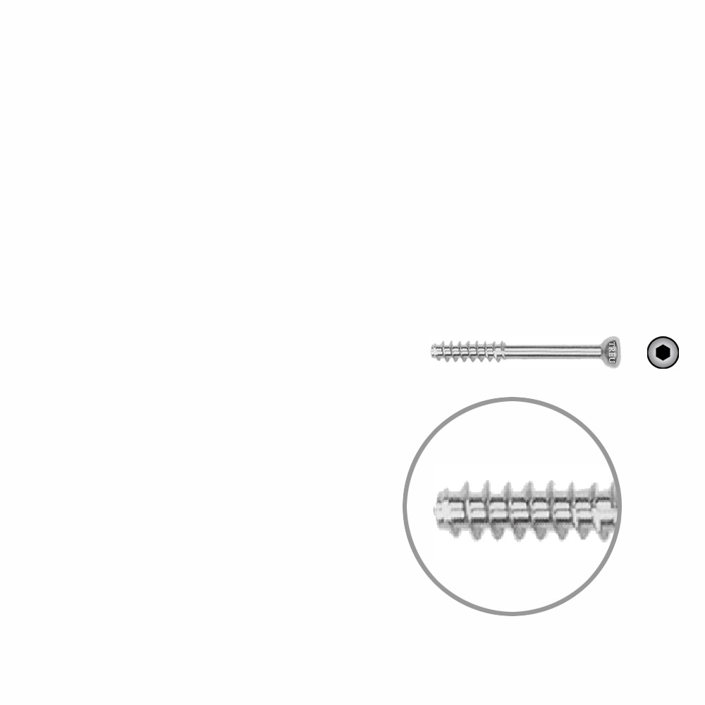 Hohlschraube 4,5 x 28mm HG SELBSTSCHNEIDEND 