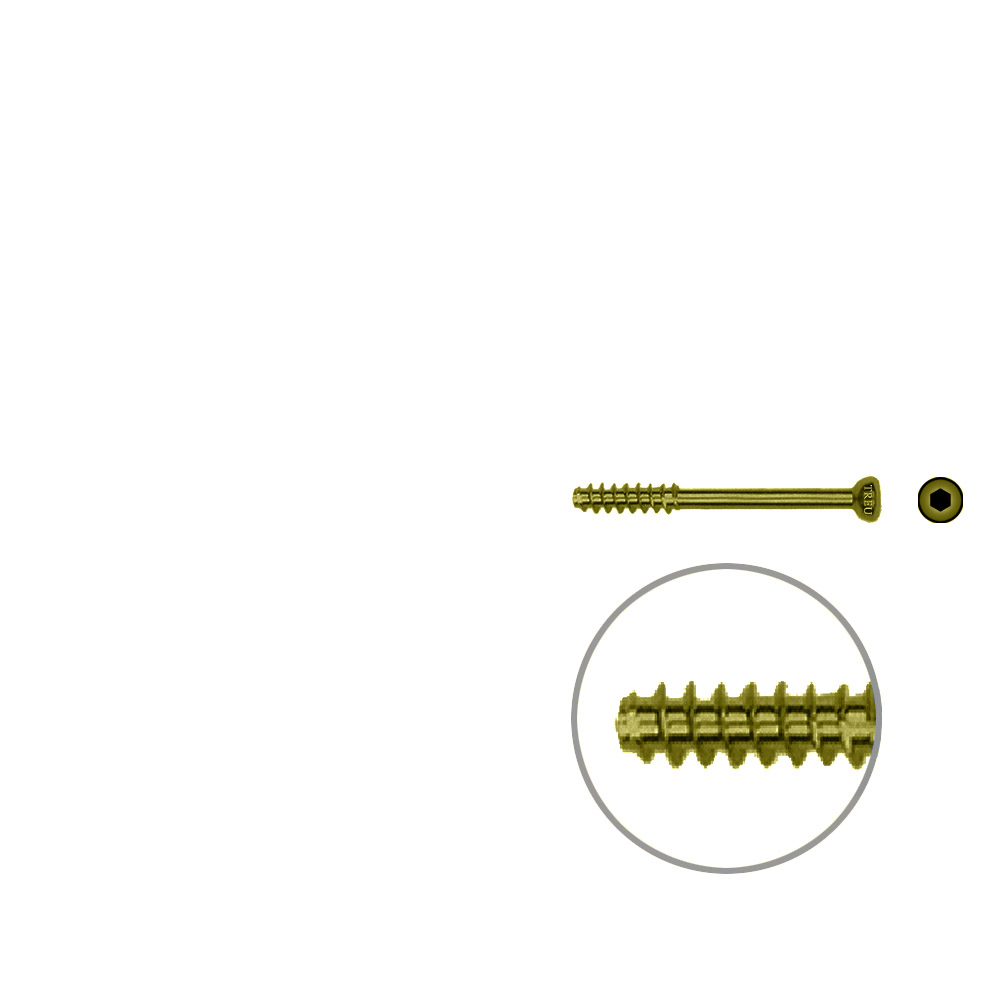 Hollow Screw 4,5 x 32mm half thread SELF TAPPING, TITAN 