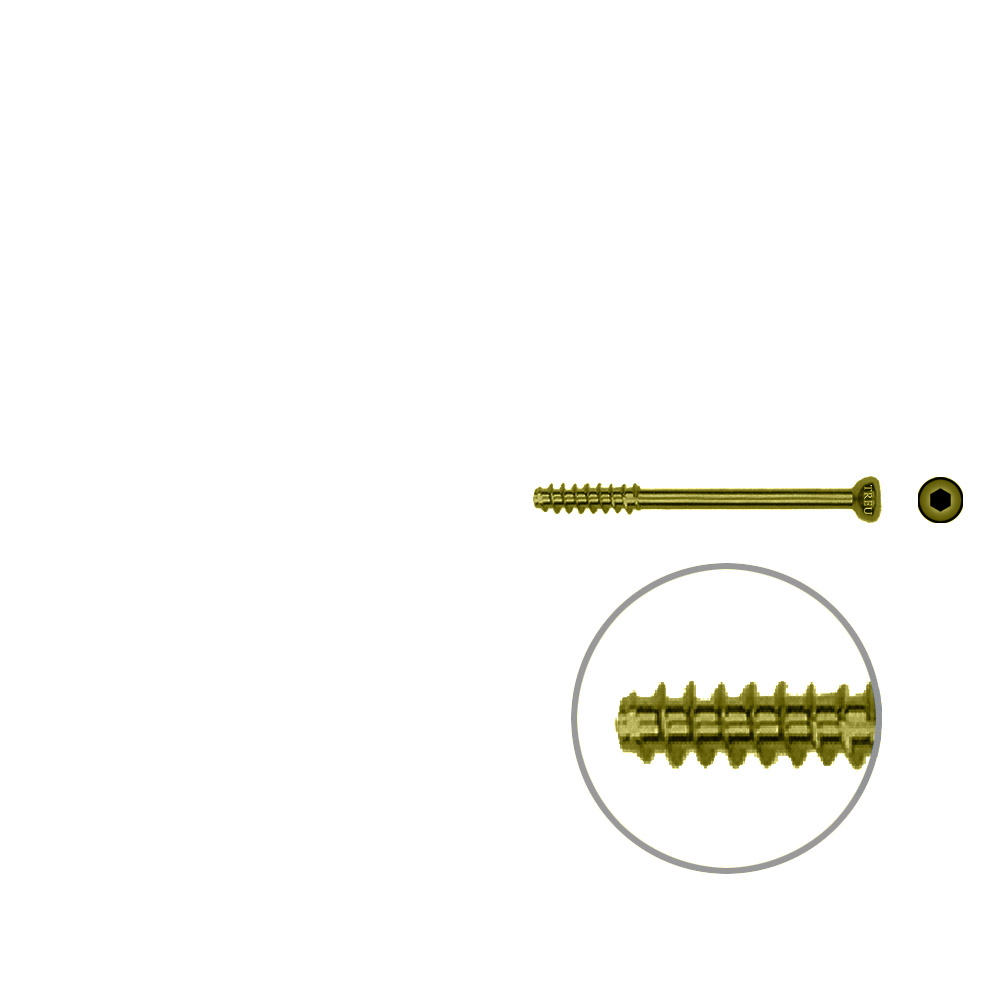 Hollow Screw 4,5 x 36mm half thread SELF TAPPING, TITAN 