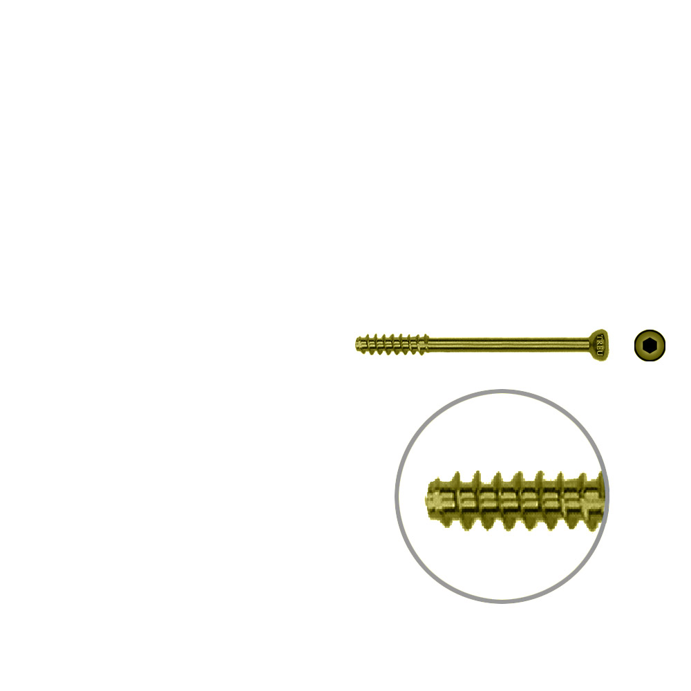 Hollow Screw 4,5 x 38mm half thread SELF TAPPING, TITAN 